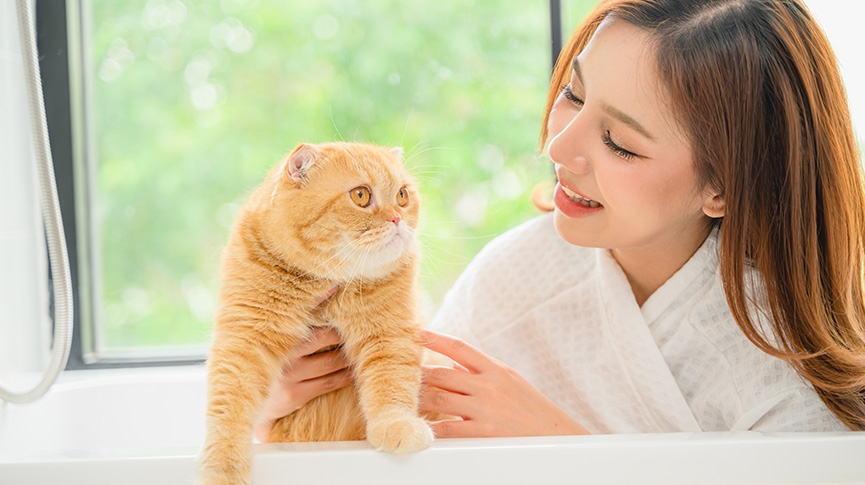 你是哪種貓奴-趣味心理測驗-貓咪性格配對-附健康檢查貼士